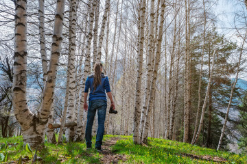 A man photographer stands on the trail in the spring birch forest. View from the back