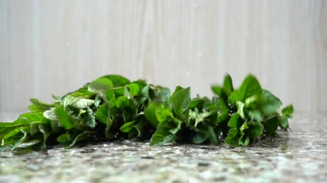 Falling of leaves of mint. Slow motion.