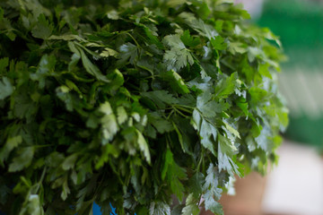 Close up view of fresh green parsley leaves