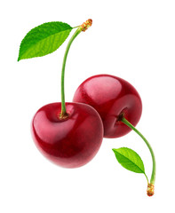 Cherry isolated on white background with clipping path