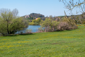 Saale am Saaleradweg bei Friedeburg Sachsen-Anhalt