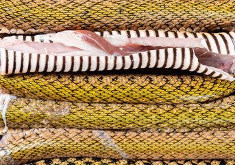 cutout snake lined up horizontally
