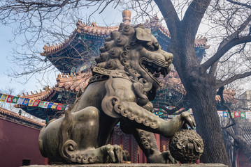 Chinese guardian lion commonly called foo dog in Lama Temple in Beijing, capital city of China