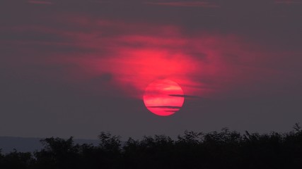 Red disc sun go down behind sunset clouds and trees on hill, timelapse