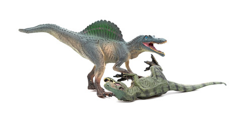 spinosaurus fights with tyrannosaurus  on a white background