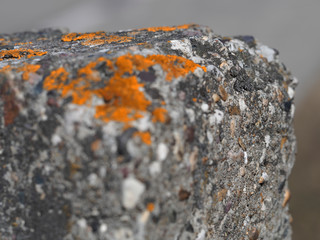 Grey concrete block with orange moss object background hd