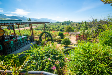 Fototapeta premium Red Mountain Winery in Inle Lake, Myanmar.