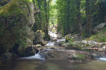 Fototapeta premium beautiful waterfalls in the national park of Aspromonte Calabria