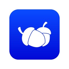 Acorn icon digital blue for any design isolated on white vector illustration