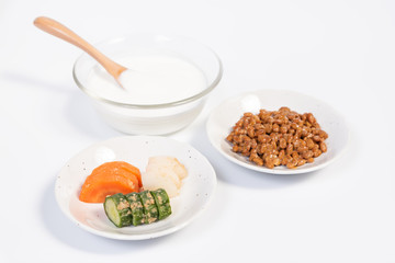 食べ物　発酵食品