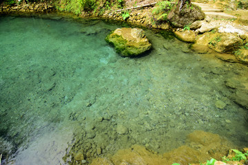 cool water in the forest with clear blue