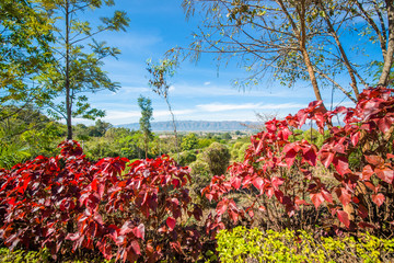 Red Mountain Winery in Inle Lake, Myanmar.