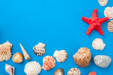 Sea shells frame on blue background
