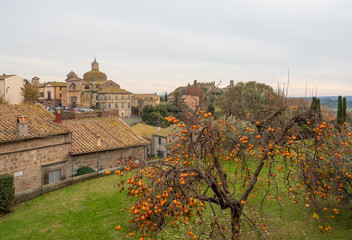 Tuscania (Italy) - A gorgeous etruscan and medieval town in province of Viterbo, Tuscia, Lazio...