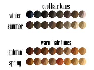 Stock vector seasonal color analysis hair colors palette for all types of female appearance