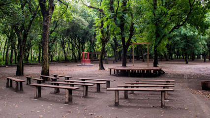 Wood ampliteater in the forest