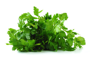 Fresh green parsley on white background