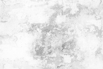 White Grunge Wall Background.