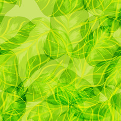 Tropical banana leaf pattern.