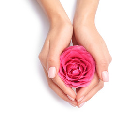 Woman holding rose on white background, closeup. Spa treatment