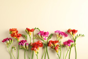 Beautiful freesia flowers on color background, flat lay. Space for text