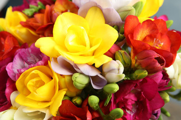 Fototapeta na wymiar Beautiful bright spring freesia flowers, closeup