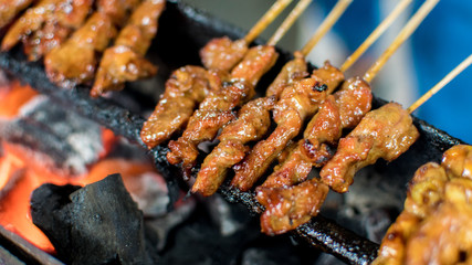 Satay or sate is an Indonesian and Malaysian dish consisting of small pieces of meat grilled on a...