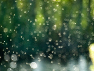 A cloud of mosquitoes beside the river on a bokeh background