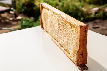 yelllow honeycombs empty and filled with honey