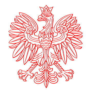 Poland eagle on white background