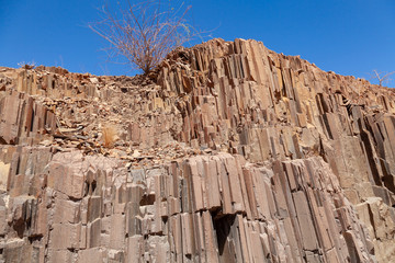 organ pipes deserts and nature in national parks