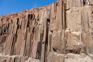 organ pipes deserts and nature in national parks