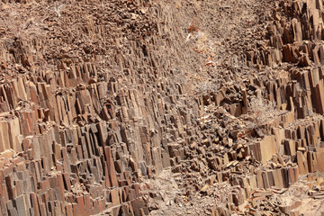 organ pipes deserts and nature in national parks