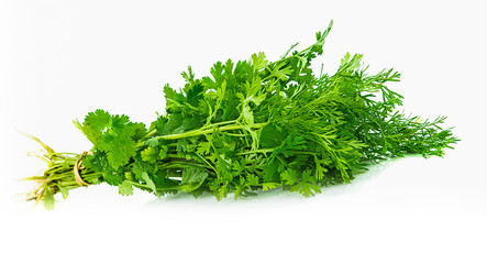 fresh oriander isolated on a white