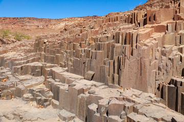 organ pipes deserts and nature in national parks