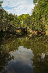 Fototapeta na wymiar New Orleans City Park, Louisiana