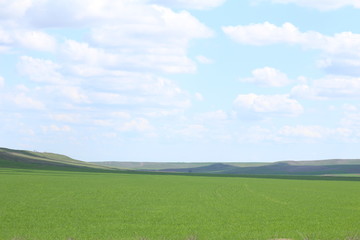 Green meadows and pasture.