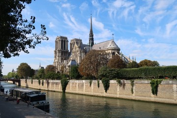 Fototapeta na wymiar Paris, cathédrale Notre-Dame au bord de la Seine (France)