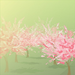 cherry, blossom, tree, background, vector, beautiful, sakura, pink, spring, illustration, isolated, 