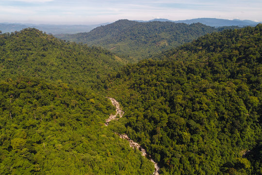 Aerial view waterfall in tropical deep forest green tree