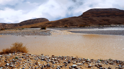 Brooks and rivers in a desert after rain