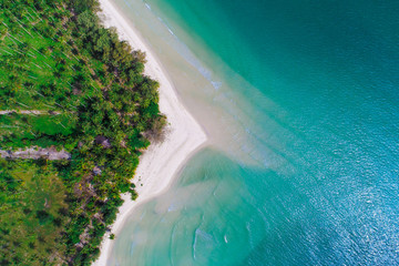 Aerial view sea beach island with green tree