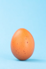 brown egg on blue background