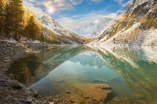 「Shavla」の画像 - 722 件の Stock 写真、ベクターおよびビデオ | Adobe Stock