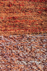 Old grass tapestry texture