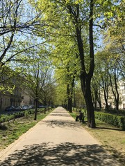 Krakau park