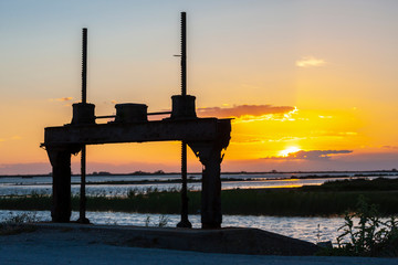 Camargue, Provence, France