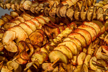 Rows of sliced dried apples in the sun close-up shot