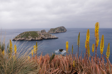 Stormy weather in spring