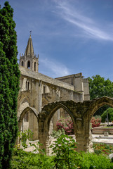 Fototapeta na wymiar ruins and gardens of the Church of Saint-Agricol, Avignon, France